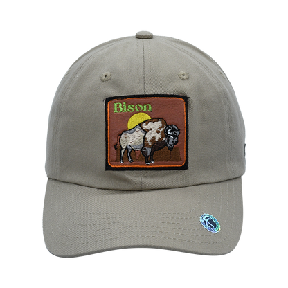 Bison - Cap Land